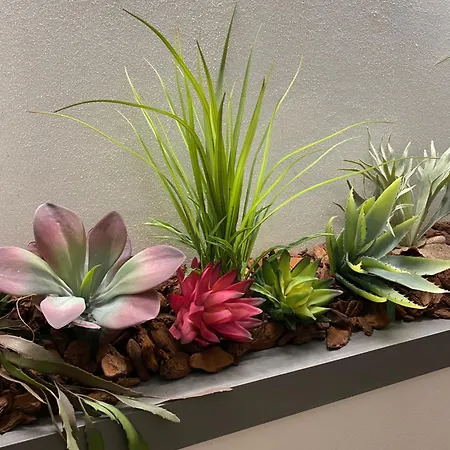 Queen In Pieno Centro- Confort,relax E Privacy Гостевой дом Модена