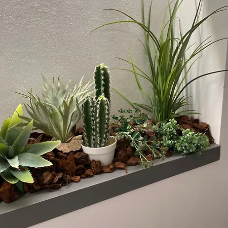 Queen In Pieno Centro- Confort,relax E Privacy