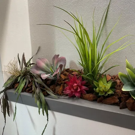 Maison d'hôtes Queen In Pieno Centro- Confort,relax E Privacy