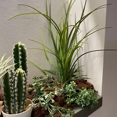 Queen In Pieno Centro- Confort,relax E Privacy Maison d'hôtes