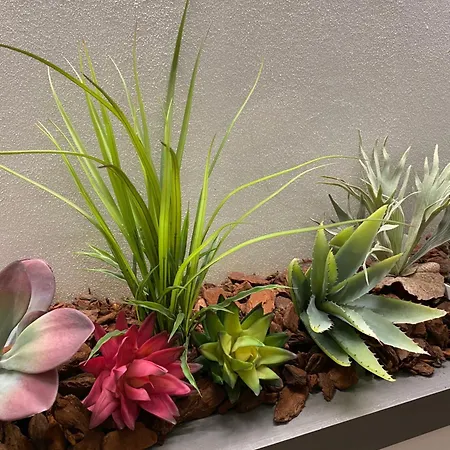 Queen In Pieno Centro- Confort,relax E Privacy Гостевой дом 3*