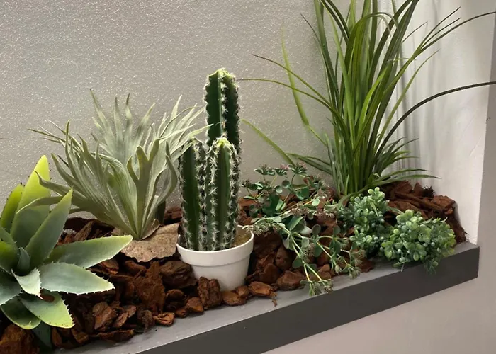 Queen In Pieno Centro- Confort,relax E Privacy