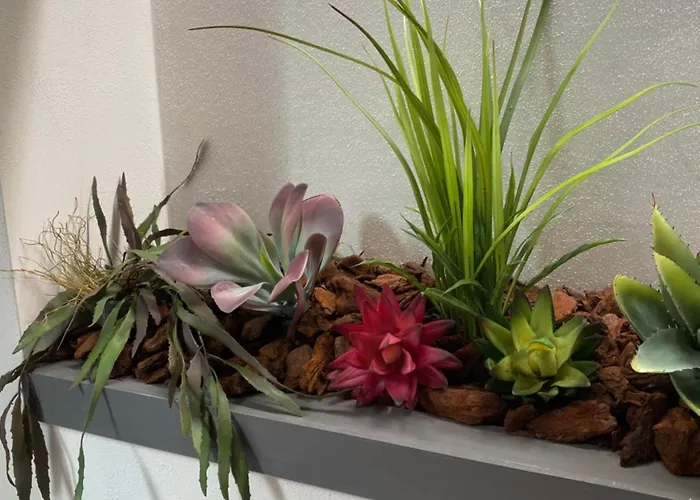 بيت ضيافة Queen In Pieno Centro- Confort,relax E Privacy