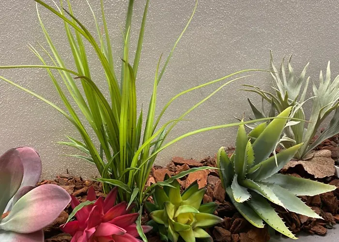 Queen In Pieno Centro- Confort,relax E Privacy بيت ضيافة 3*